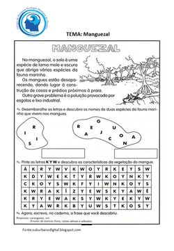 Descubra a Palavra Manguezal