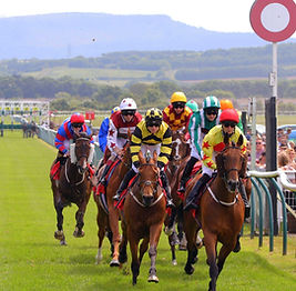 Paceform Figures horse racing speed ratings and race analysis