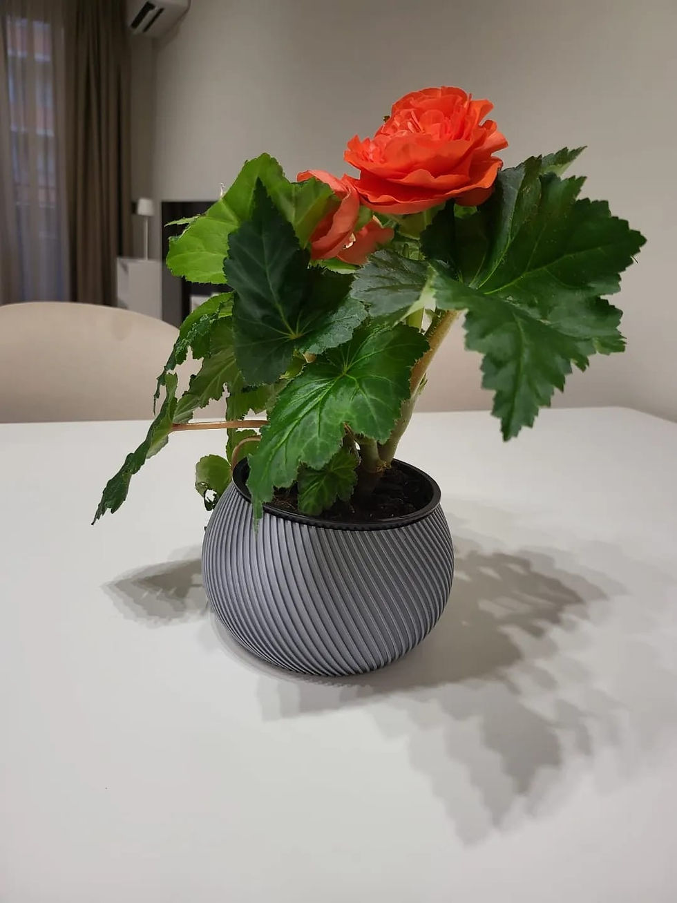 Vaso decorativos hort wide vase