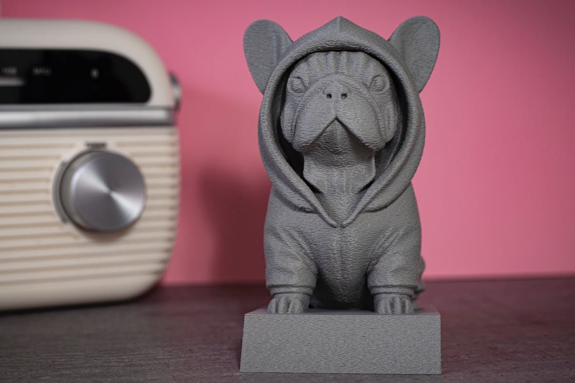 Buldogue Francês com Moletom