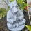 Miniatura: Zen Canino