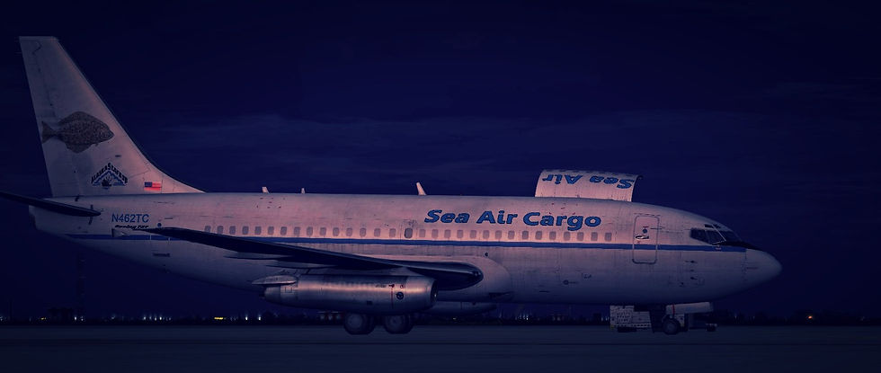 Dawns First Light, Parked at the cargo ramp loading for KTN
