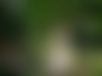 Trouwen in Enkhuizen. Stadhuis & brouwerij de Werf