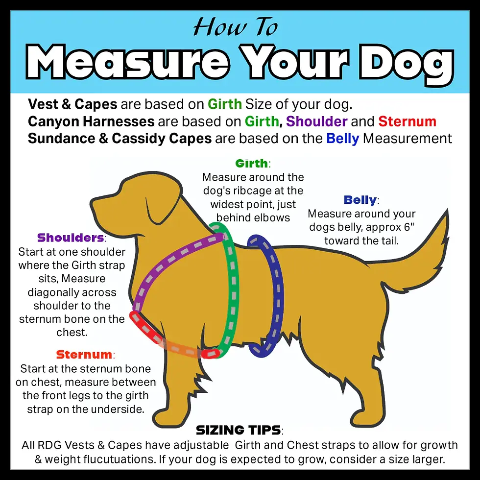 Thumbnail: Reversible Custom Service Dog Vest