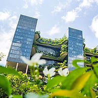 PARKROYAL Collection Pickering.jpg