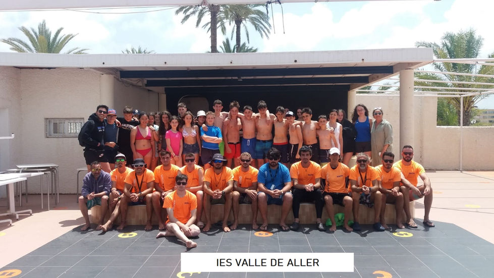 IES VALLE DE ALLER.jpeg