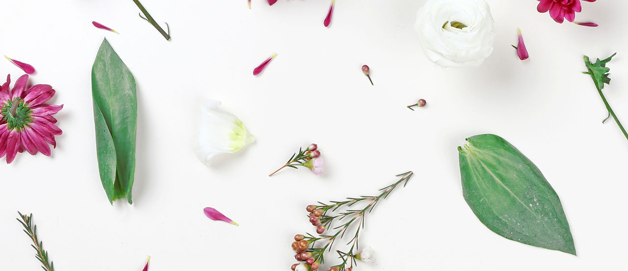 massage-pied-bayonne-anglet-biarritz