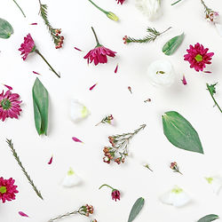 Papier mit verschiedenen Trockenblumen