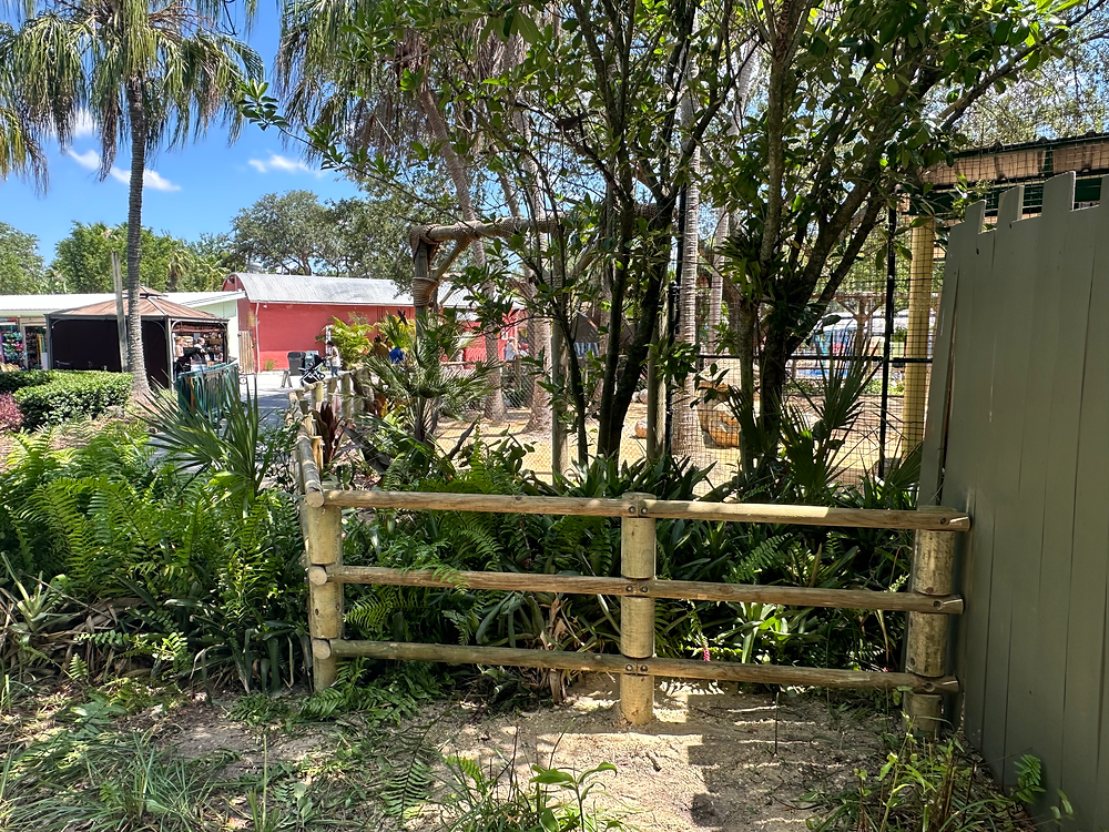 Low wooden fence with trees and a distant red building