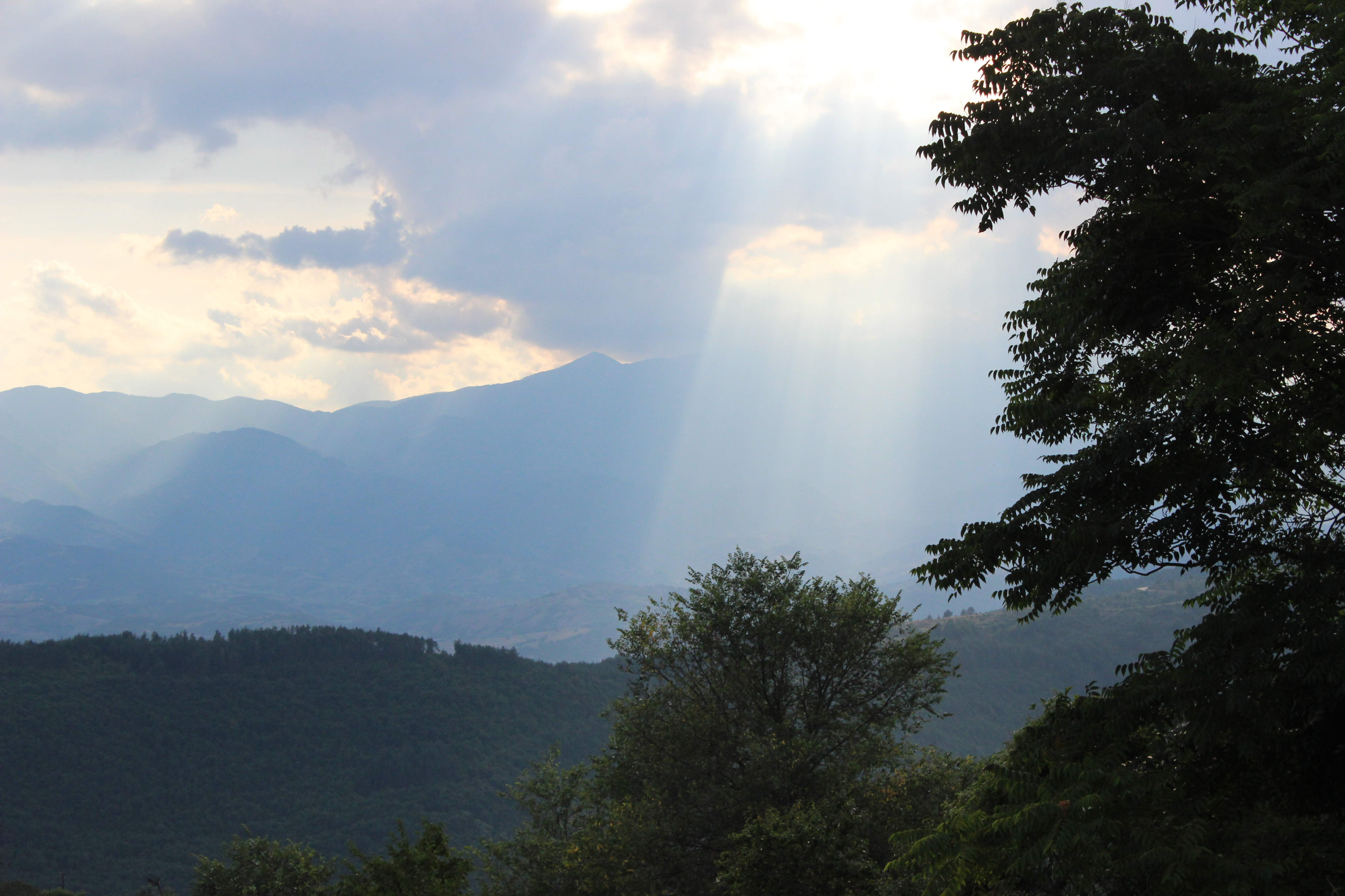 View from the house