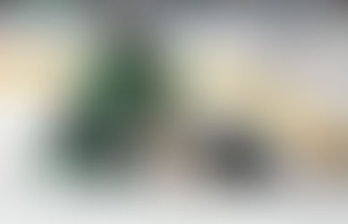 Les Stars joueront sans leur capitaine