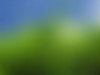 HERB SPOTLIGHT: Momordica Charantia