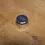 Thumbnail: COGNITO MOTO SPEEDOMETER PLUG