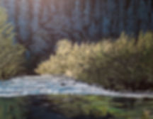 Morning Light (20" x 16")