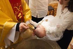 IMG_9943-Enhanced-NR