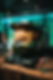 Master Chief helmet.jpg