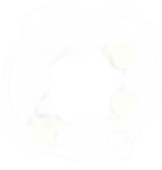 elements-2.webp