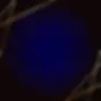 saward-bg3.webp