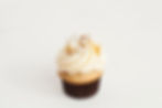 Hummingbird Minis - 2 Dozen
