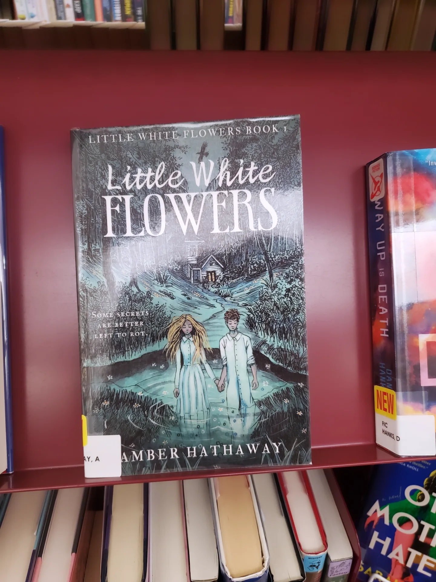 Old Town Publc Library sign