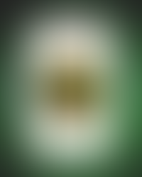 Short story "Nan's Gift" Now Available!