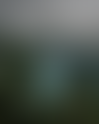 Hardcover Edition of Little White Flowers Coming Soon