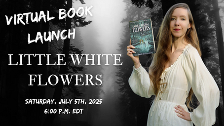 Virtual Book Launch Replay Now Available 