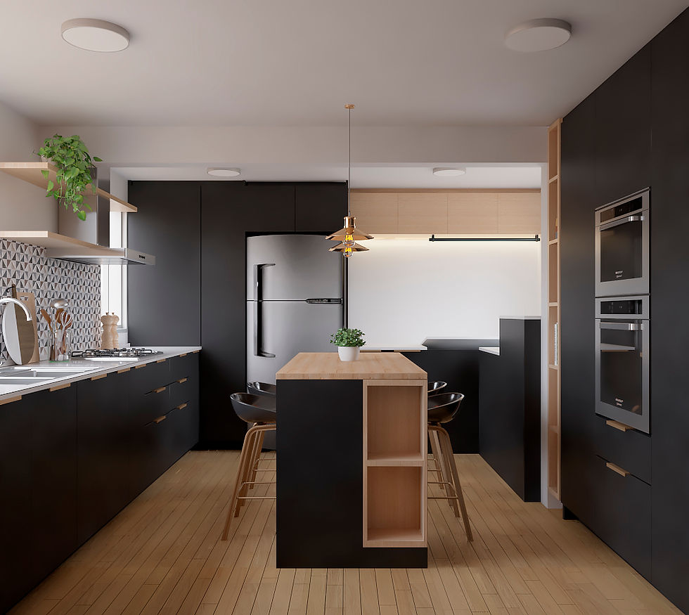 Proyecto Cocina Black