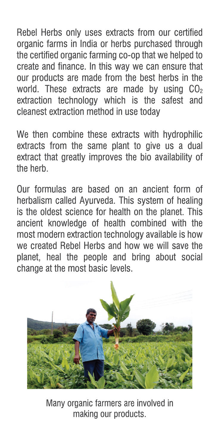 Thumbnail: Rebel Herbs Organic Imunade Vegetarian Capsules - 60 Count