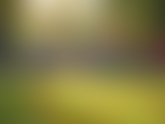 Empowering Youth Through Healing and Growth