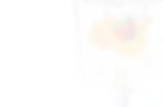 Rectangle 345.webp
