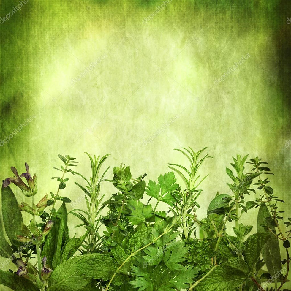 depositphotos_35572753-stock-photo-herbal-background-with-grunge-effects.jpg