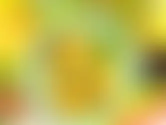 Flat lay of beef tacos with guacamole, chips, salsa, beans, avocado and a drink on a bright yellow background; Pre beef text visible