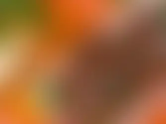 A bowl of braciole with cheese and a big serving spoon