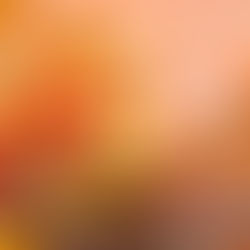 America's summer fling with steak is still growing strong — Pre Brand's new survey shows 78% of grillers plan to cook as much or more steak