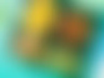 A lunch box with 4 sections that have vegetables and crackers and a ramen soup in a thermos with meatballs.