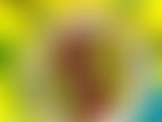 An overhead view of a strip steak with sauce around it and pickled cucumbers and red onion.