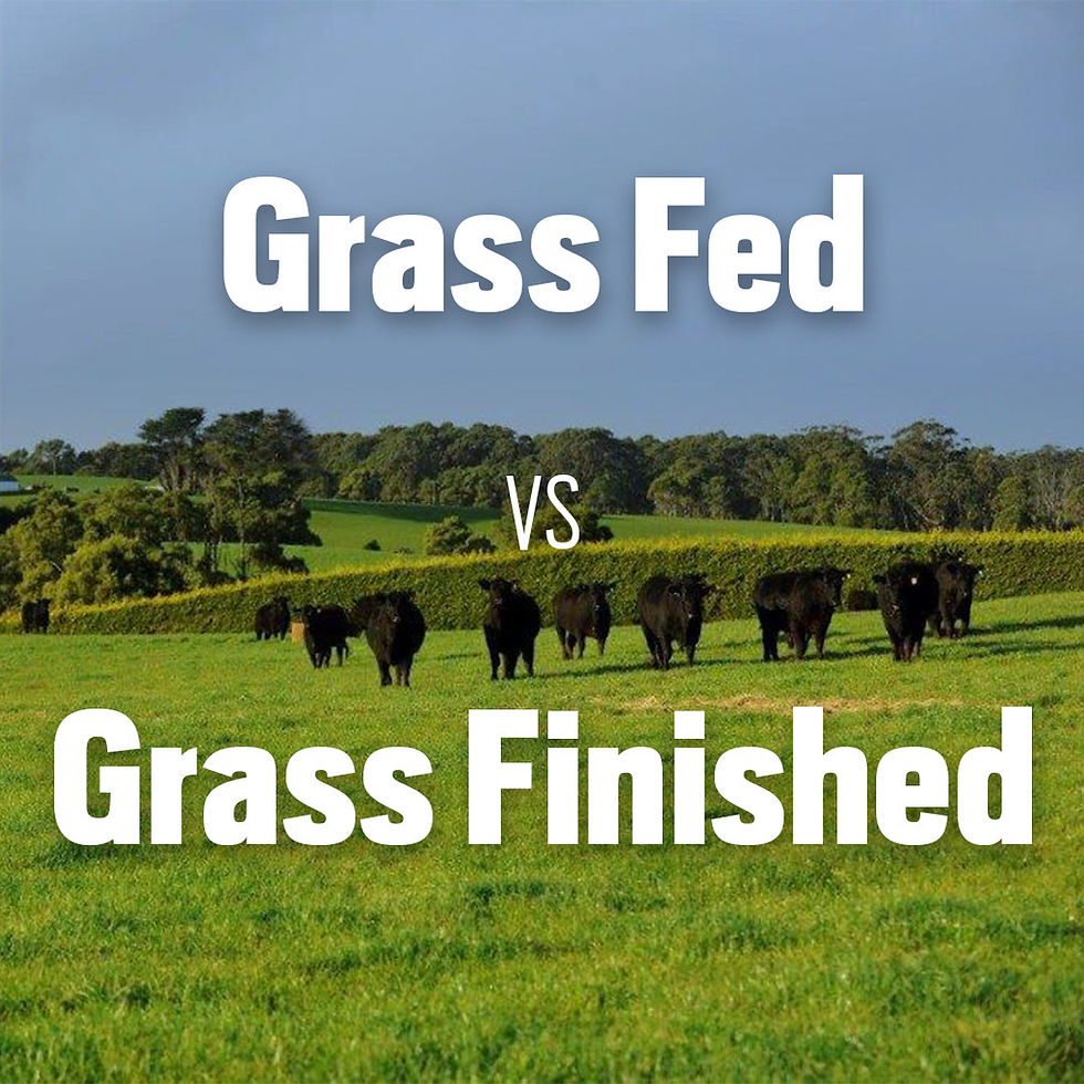 Graphic comparing grass fed beef and grass finished beef