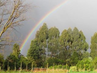 The best rainbows in the World