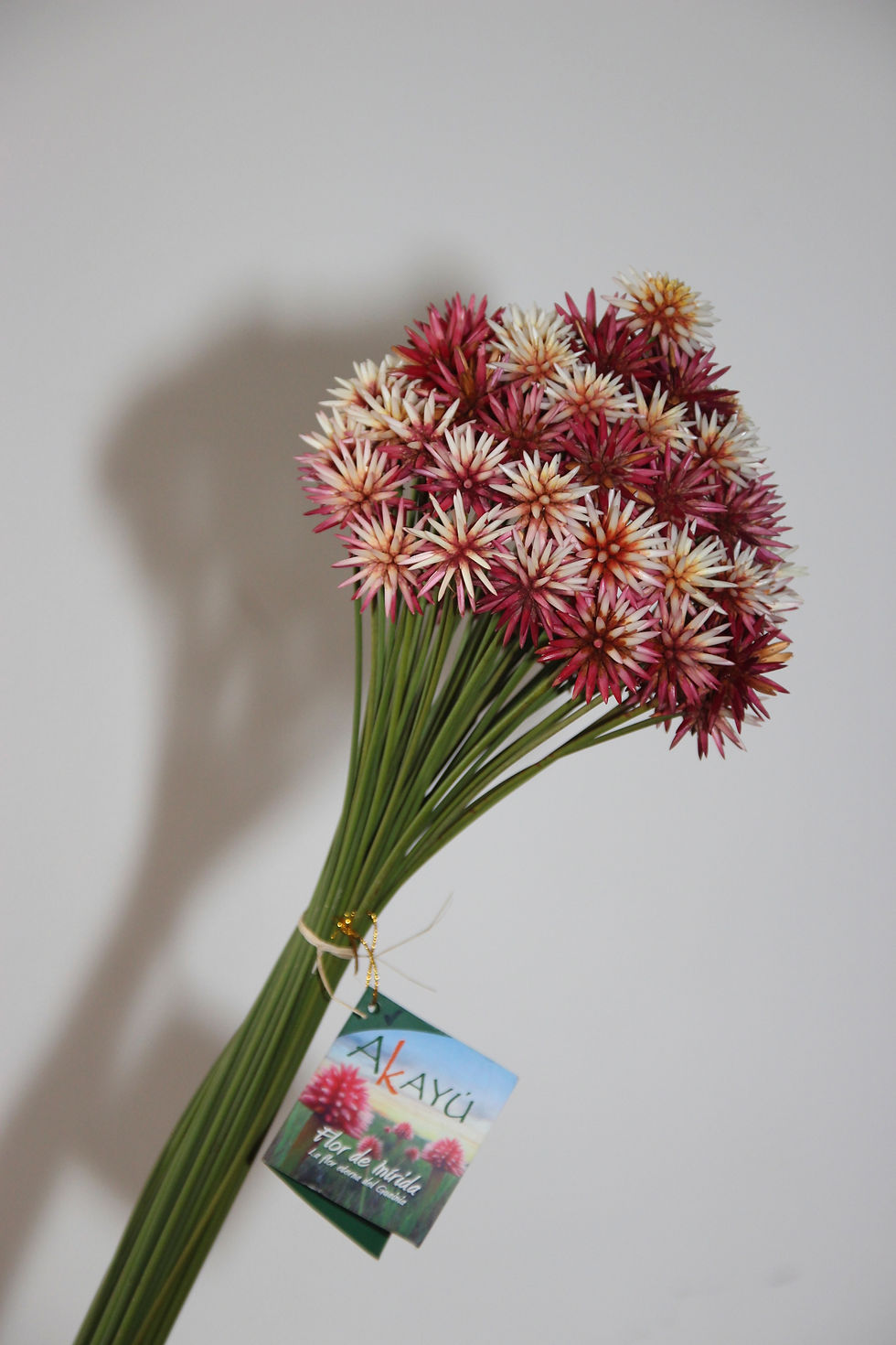 Flor de Inírida de Verano