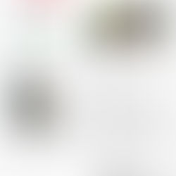 바나나 나무교회(2019년 6월)