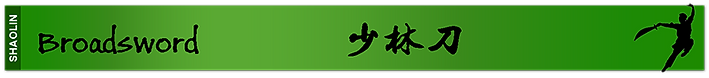Kung Fu green belt