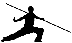 Song's Kung Fu