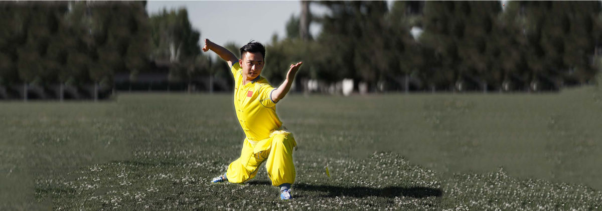 Song's Kung Fu