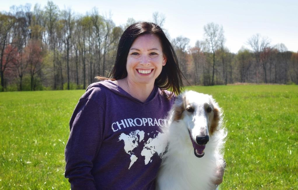 Chiropractic Flow of Life Family Chiropractic United States