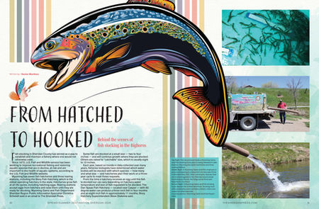 From Hatched to Hooked layout (1 of 2)