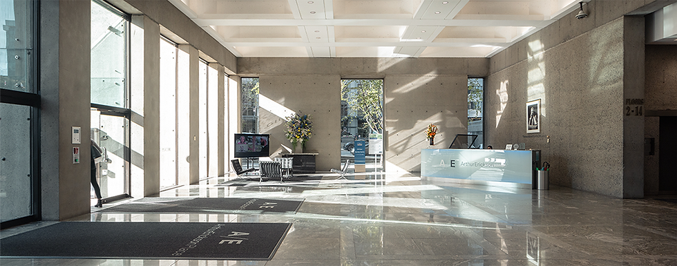 Modern lobby with high ceilings and large windows letting in natural light. A sleek reception desk is on the right, with flowers and a TV nearby.