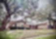 image14.jpeg