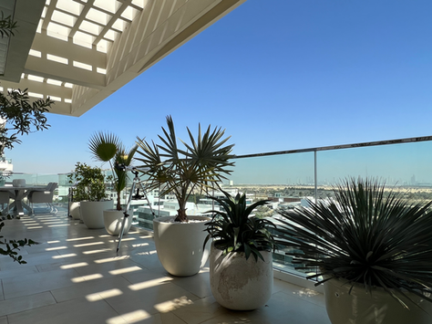 Al Barari 7th Heaven