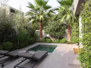 The garden studio